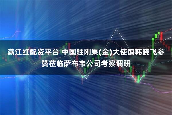 满江红配资平台 中国驻刚果(金)大使馆韩晓飞参赞莅临萨布韦公司考察调研