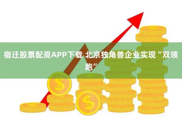宿迁股票配资APP下载 北京独角兽企业实现“双领跑”