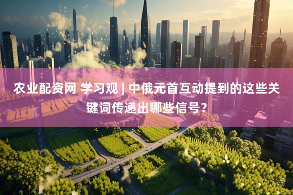 农业配资网 学习观 | 中俄元首互动提到的这些关键词传递出哪些信号？